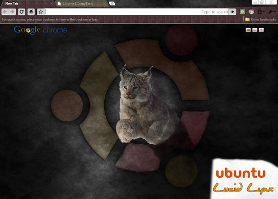 Ubuntu Lucid Lynx 10.04 chrome extension