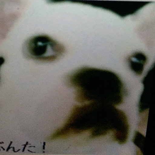 ぶんちゃんのプロフィール画像