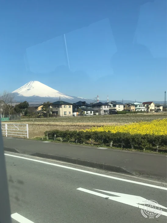 「いじめからの、、、」のメインビジュアル