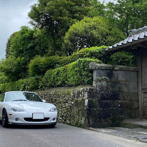 ロードスター NB6C