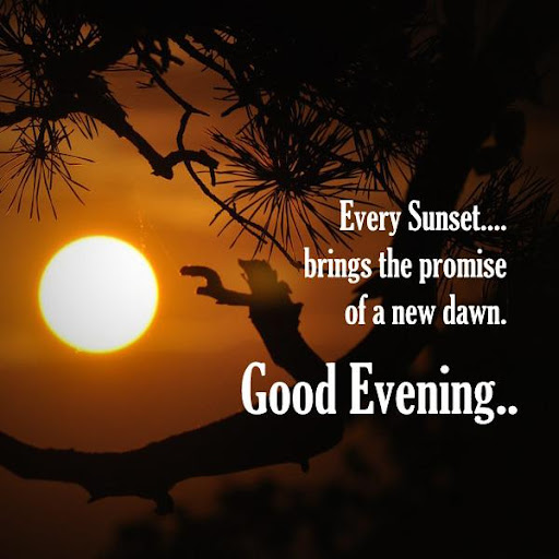 Good Morning  Evening Messages And Images GIFs HD