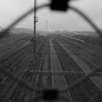 Freccia nella nebbia di 