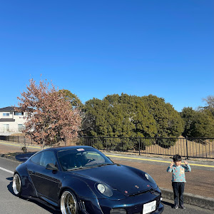 996カレラ