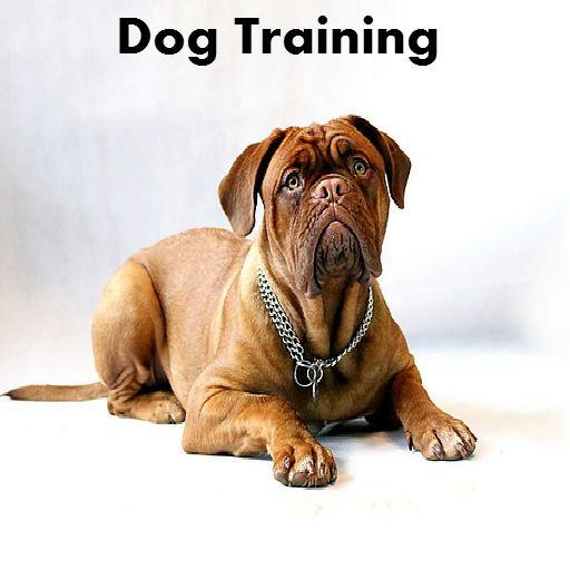 Dog Training 教育 App LOGO-APP開箱王