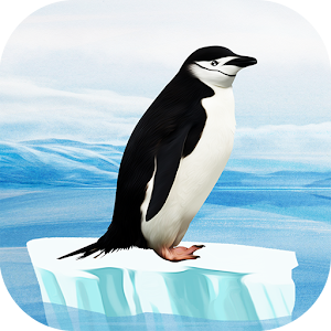 Download Knowee : Penguins For PC Windows and Mac