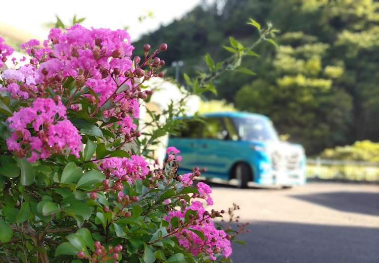 スペーシアカスタムの8月もよろしくお願いします・夏休み？そんなもの無い・下道ドライブ・ダム活・35℃超えに関するカスタム事例の投稿画像4枚目