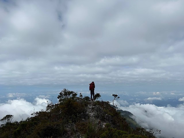 Mount Tahan Peak mountains views