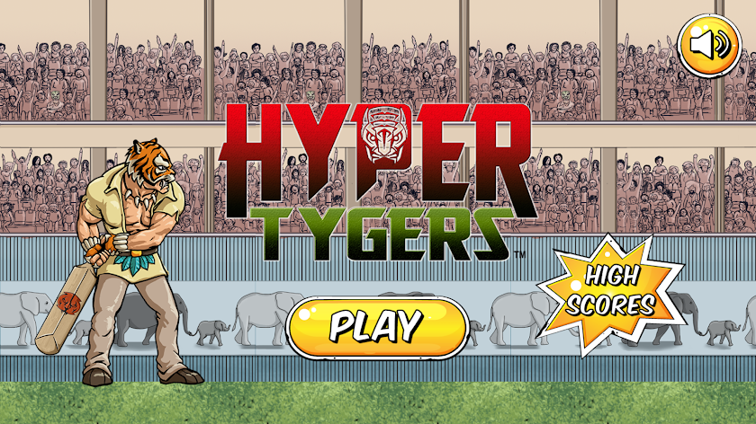 Hyper Tygers Cricket Screen 3