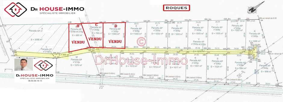 Vente terrain  1000 m² à Roques (31120), 18 000 €