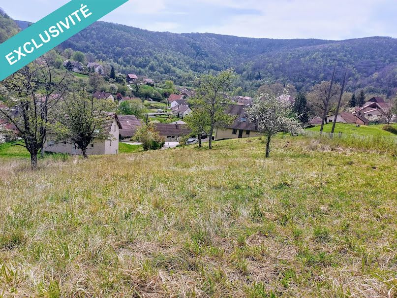 Vente terrain  3600 m² à Montgesoye (25111), 83 000 €