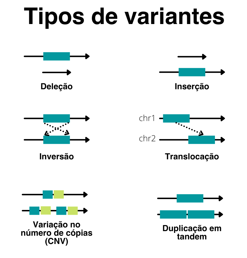 Variantes