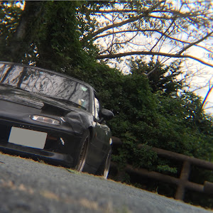 ロードスター NA8C