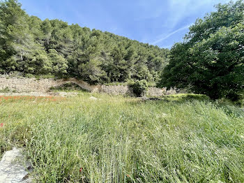 terrain à Vaison-la-Romaine (84)