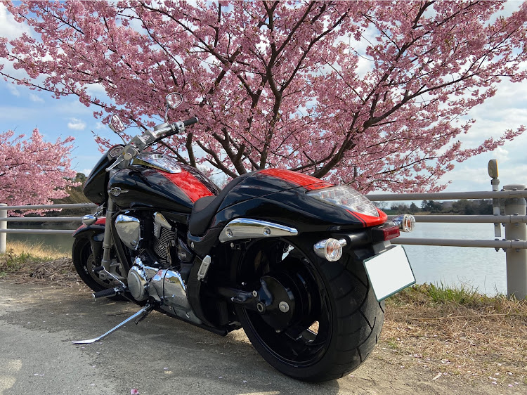 その他のM109R・河津桜・プチツーリングに関するカスタム事例の投稿画像10枚目