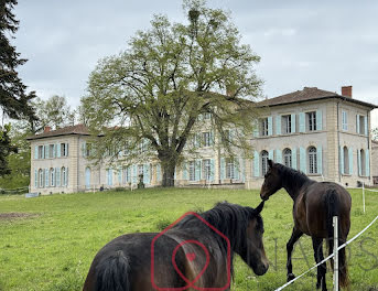 château à Mornand-en-Forez (42)