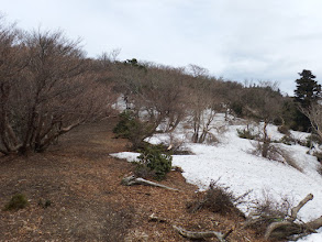 緩やかな稜線歩きに