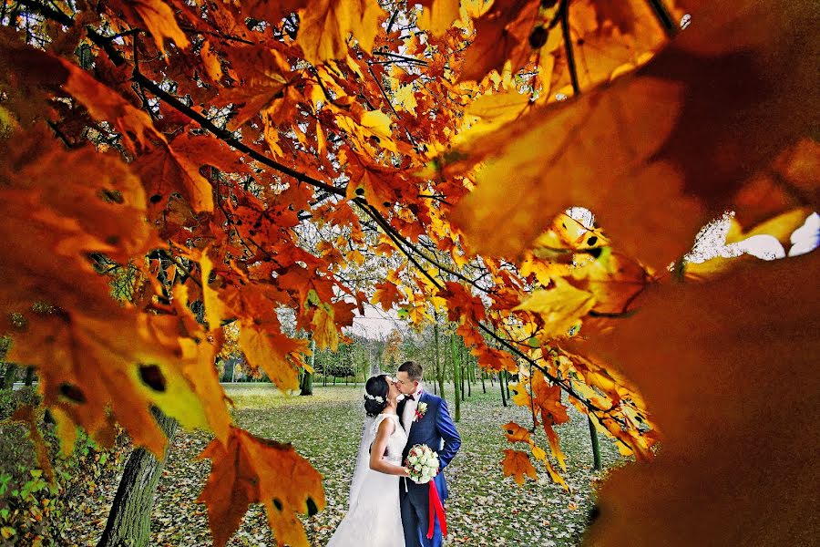 Fotografo di matrimoni Maksim Vetrov (vetrov). Foto del 13 aprile 2016