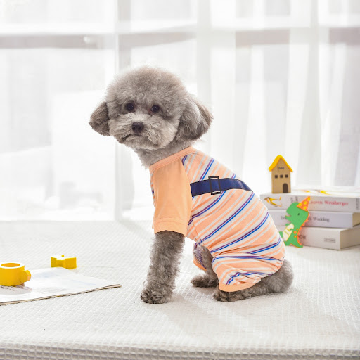 Title 3, Striped Four-leg Cream Pet Dog Clothes Pack Fou...