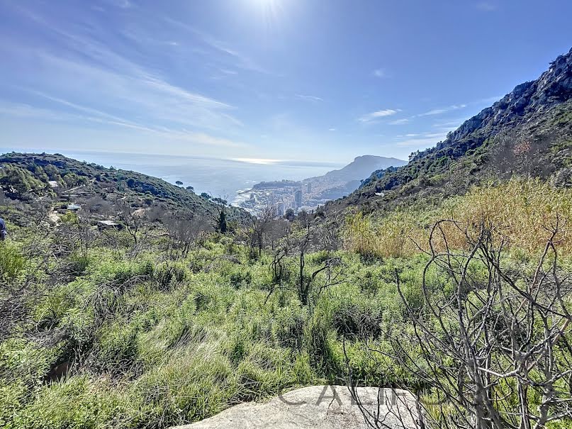 Vente terrain  8127 m² à Roquebrune-Cap-Martin (06190), 217 000 €