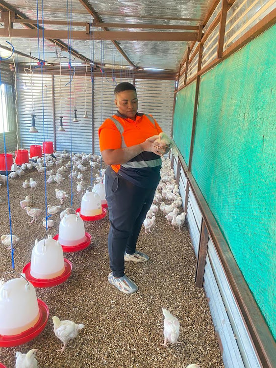 Chicken farmer Onkokame Dicuwe has seen her business improve significantly through funding from the National Youth Development Agency.