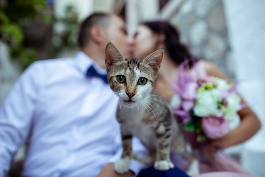 Vestuvių fotografas Julia Ganch (juliaganch). Nuotrauka 2018 lapkričio 1