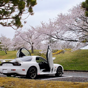 RX-7 FD3S 後期