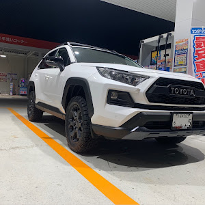 RAV4 MXAA54