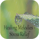 Download Healing Melodies - Stress Relief For PC Windows and Mac 1.0