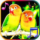 ダウンロード Birds Sounds Ringtones & Live Wallpapers をインストールする 最新 APK ダウンローダ