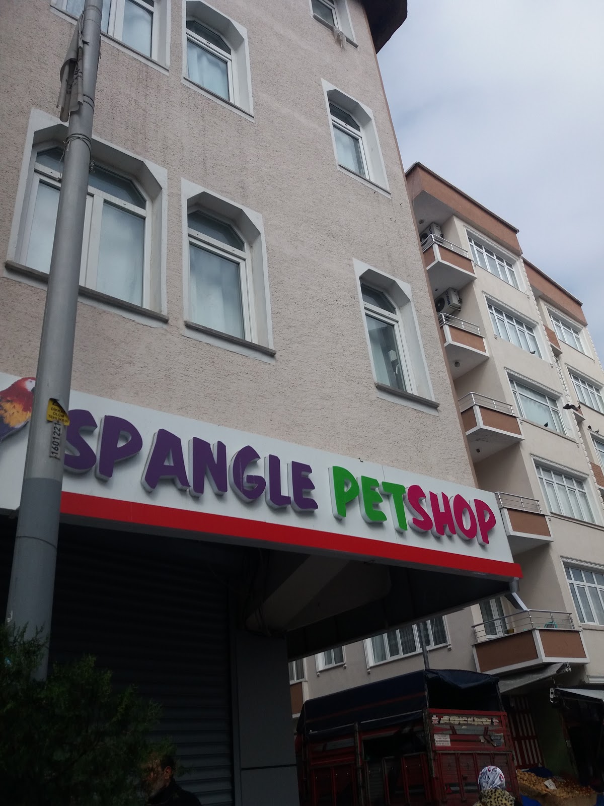 Spangle Petshop