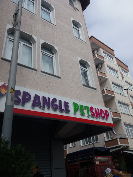 PATİLİ PETSHOP foto 7