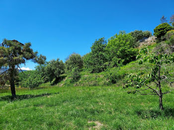 terrain à Berre-les-Alpes (06)