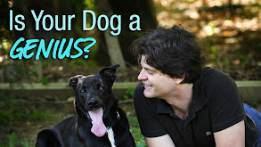 Is Your Dog a Genius? thumbnail