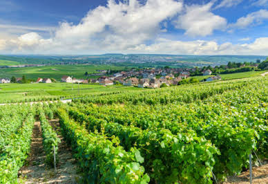 Vineyard with pool and outbuildings 3