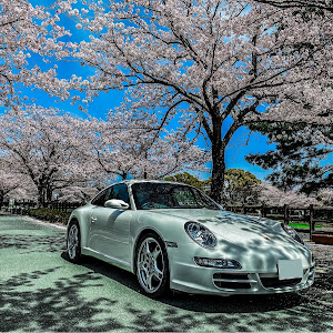 911 クーペ 997