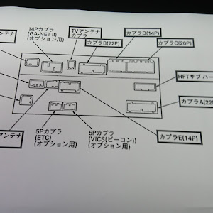 エリシオン RR1