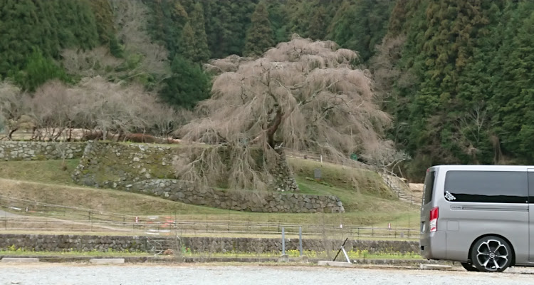 の投稿画像5枚目