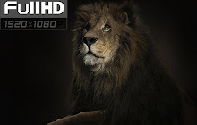 Lion Wallpapers FullHD New Tab small promo image