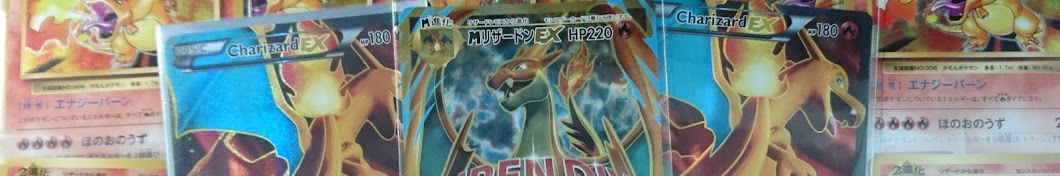 Collect Pokemon Banner