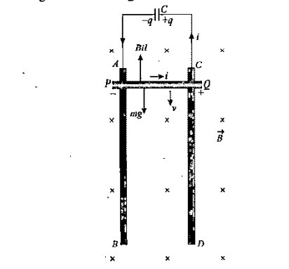 Solution Image