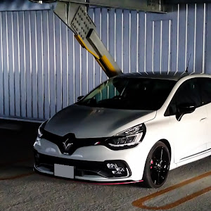 ルーテシア RM5M