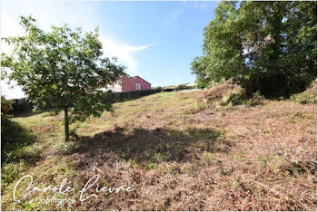 terrain à Lézignan-la-Cèbe (34)