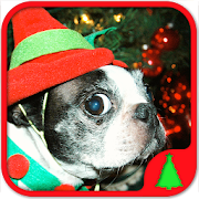 sparse kids Animals Christmas 5.22.020 Icon