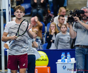 Eerste reekshoofd Goffin naar de kwartfinales op European open