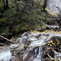 un tocco di giallo di 