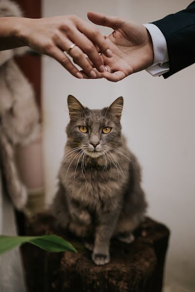 Huwelijksfotograaf Artur Owsiany (owsiany). Foto van 29 oktober 2020