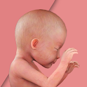 Raiwa - Pregnancy Tracker
