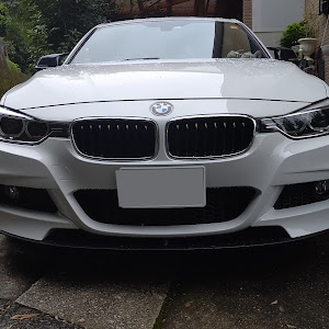 320i M Sport (F30)