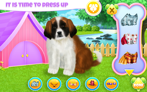 St Bernard Puppy Day Care