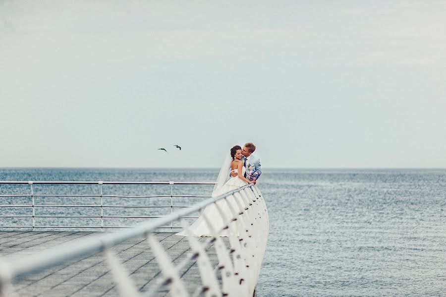 Fotografo di matrimoni Dmitriy Vasilenko (dmvasilenko). Foto del 20 luglio 2015